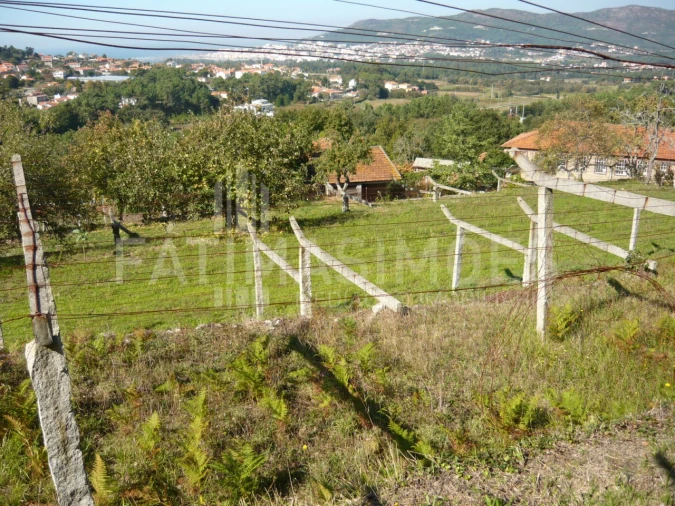 Quinta para Venda em Ancora Foto 26