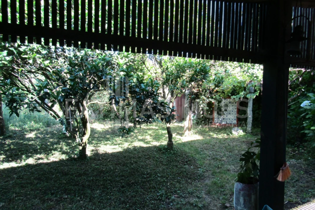 Quinta T7 para Venda em Ancora Foto 7