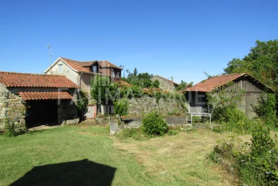 Quinta T7 para Venda em Ancora