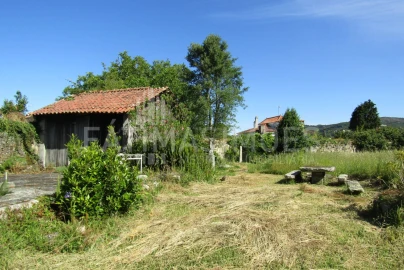 Quinta T7 para Venda em Ancora