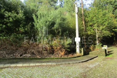 Terreno para Venda em Seixas