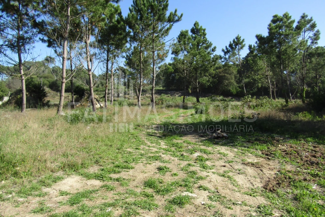 Terreno para Venda em Ancora Foto 1