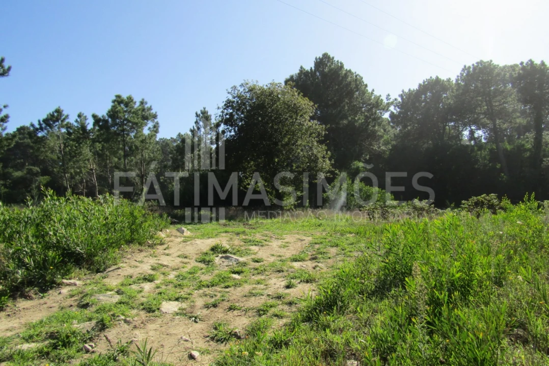 Terreno para Venda em Ancora Foto 3