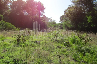Terreno para Venda em Ancora