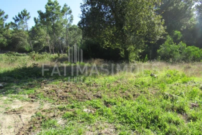 Terreno para Venda em Ancora