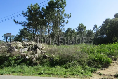 Terreno para Venda em Ancora