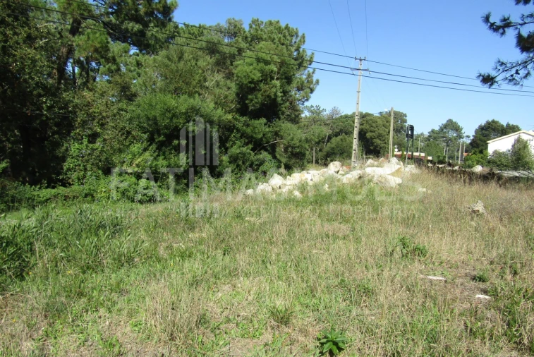 Terreno para Venda em Ancora Foto 2