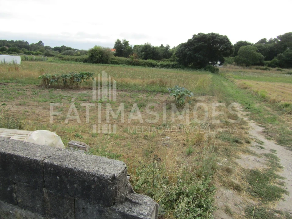 Terreno para Venda em Vila Praia de Ancora Foto 2