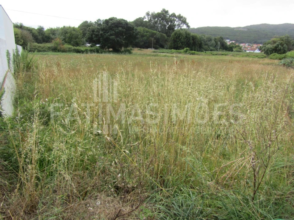 Terreno para Venda em Vila Praia de Ancora Foto 3