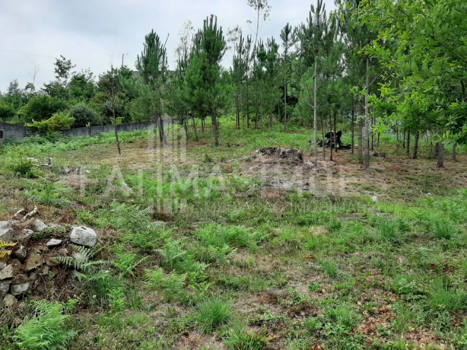 Terreno para Venda em Riba de Ancora Foto 1