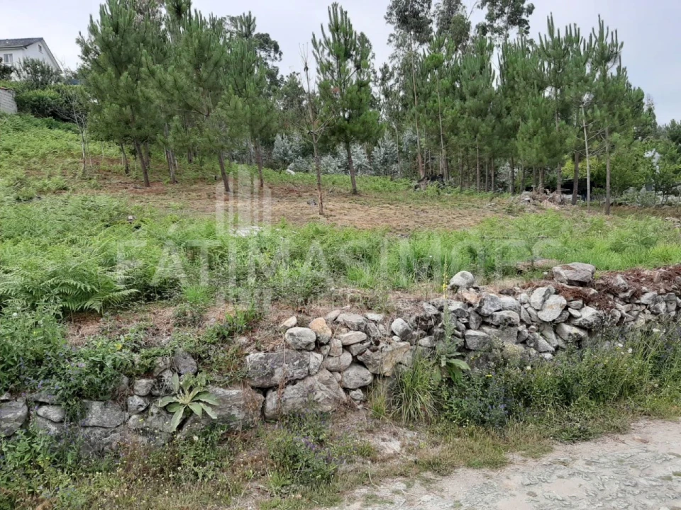 Terreno para Venda em Riba de Ancora Foto 2