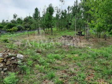 Terreno para Venda em Riba de Ancora