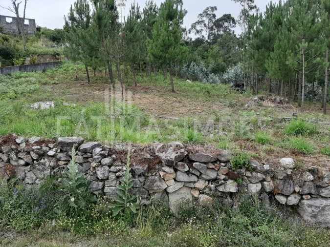 Terreno para Venda em Riba de Ancora Foto 3