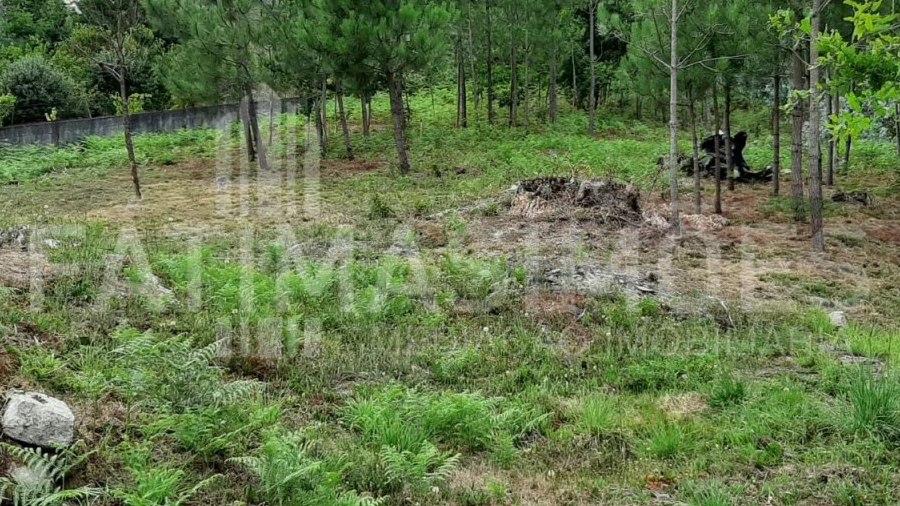 Terreno para Venda em Riba de Ancora