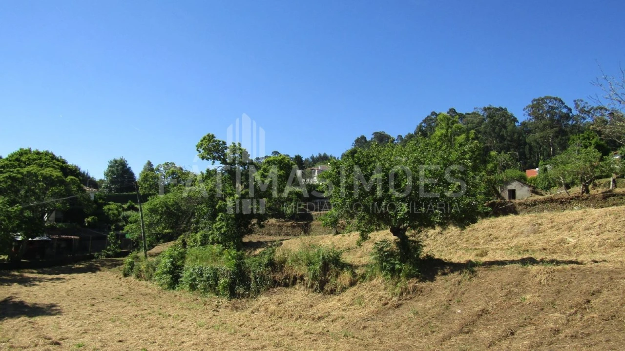 Terreno para Venda em Caminha (Matriz) e Vilarelho Foto 9