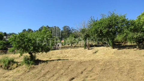 Terreno para Venda em Caminha (Matriz) e Vilarelho