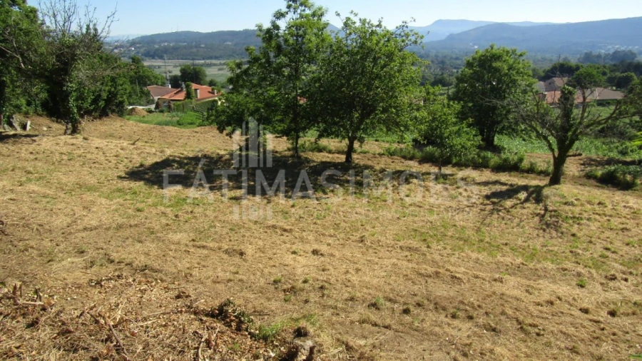Terreno para Venda em Caminha (Matriz) e Vilarelho Foto 4