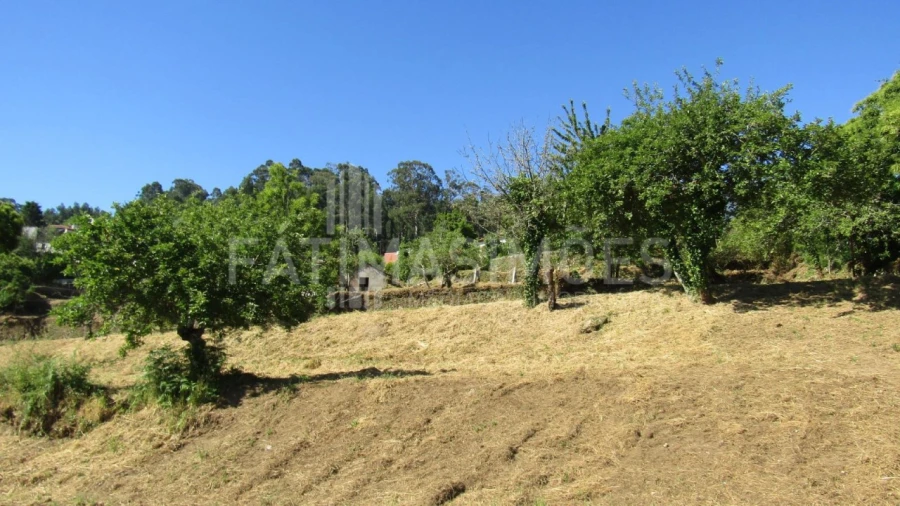 Terreno para Venda em Caminha (Matriz) e Vilarelho Foto 8