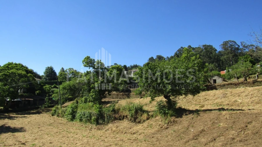 Terreno para Venda em Caminha (Matriz) e Vilarelho Foto 9
