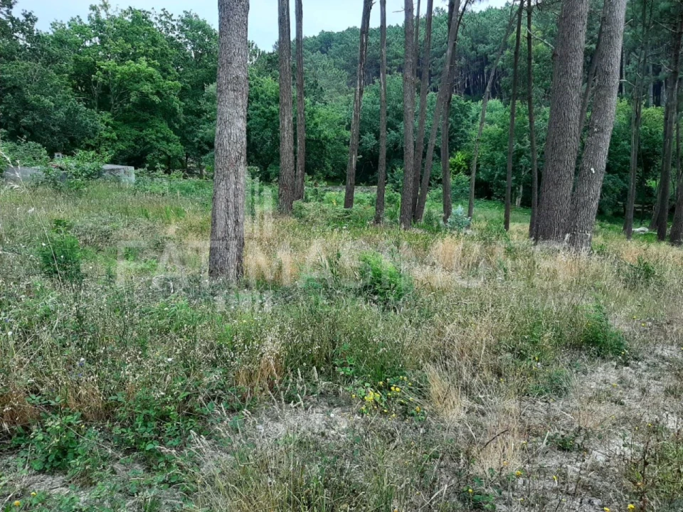 Terreno para Venda em Freixieiro de Soutelo Foto 2