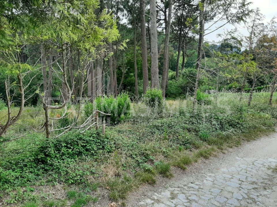 Terreno para Venda em Freixieiro de Soutelo Foto 3
