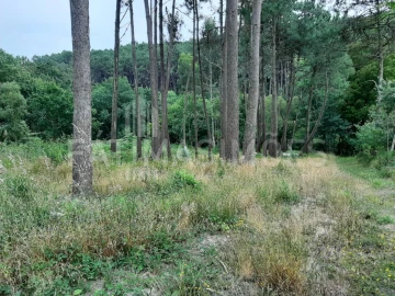 Terreno para Venda em Freixieiro de Soutelo