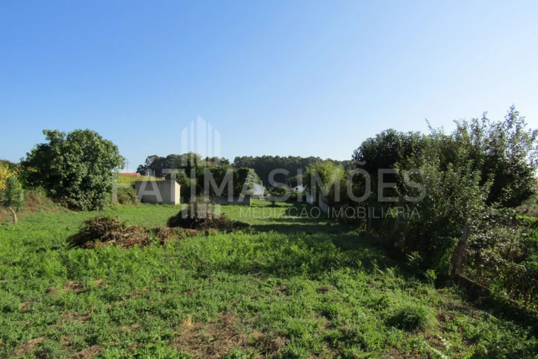 Terreno para Venda em Seixas Foto 1