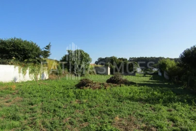 Terreno para Venda em Seixas