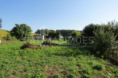 Terreno para Venda em Seixas