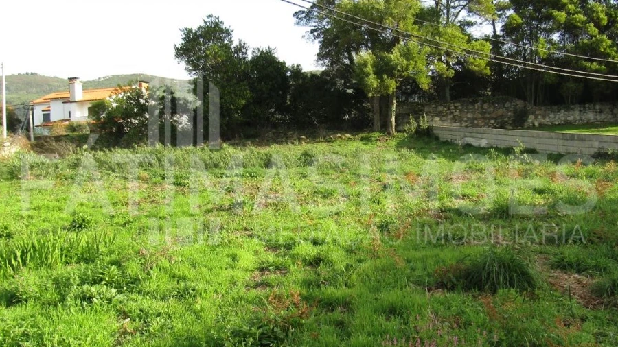 Terreno para Venda em Moledo e Cristelo