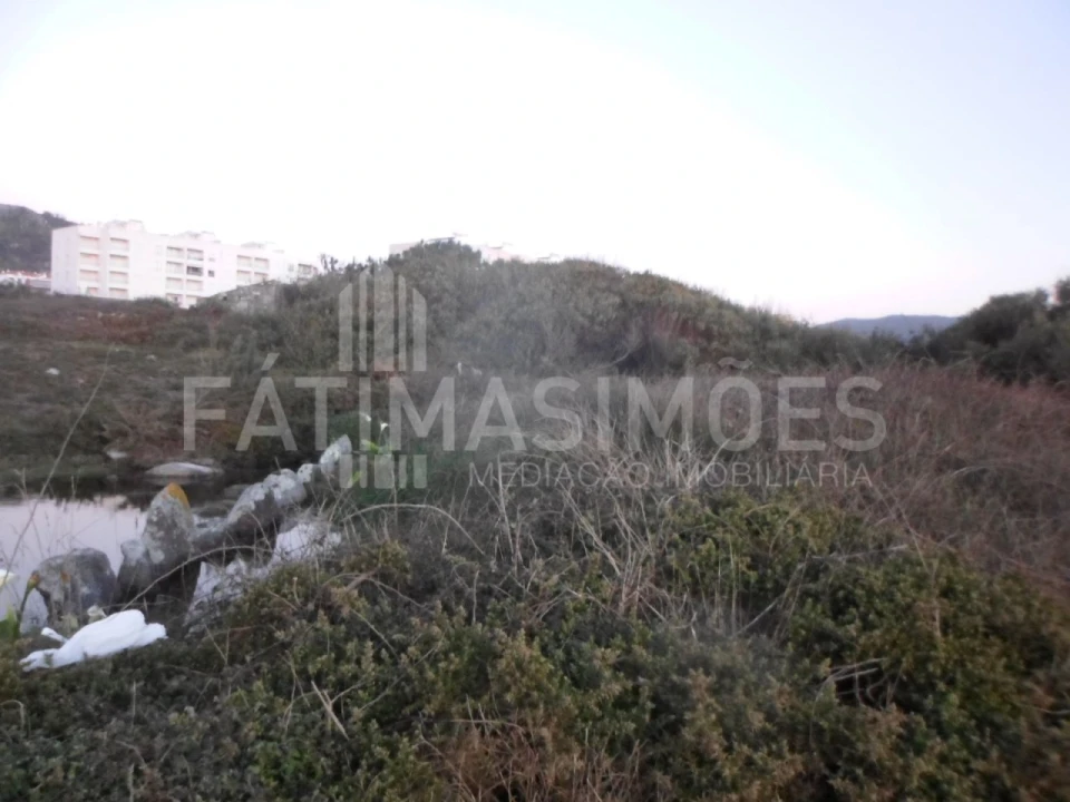 Terreno para Venda em Vila Praia de Ancora Foto 3
