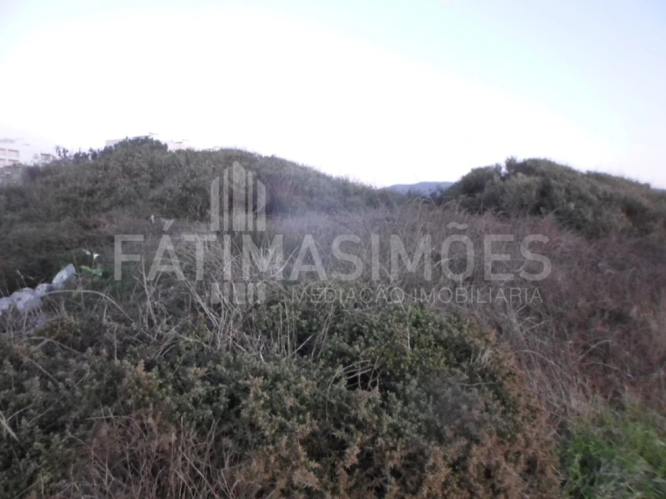 Terreno para Venda em Vila Praia de Ancora Foto 5