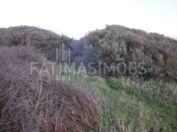 Terreno para Venda em Vila Praia de Ancora