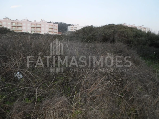 Terreno para Venda em Vila Praia de Ancora Foto 2