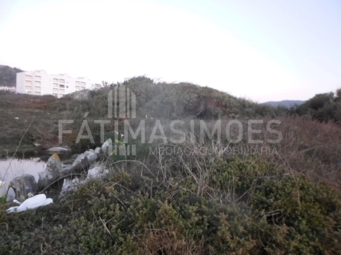 Terreno para Venda em Vila Praia de Ancora Foto 3