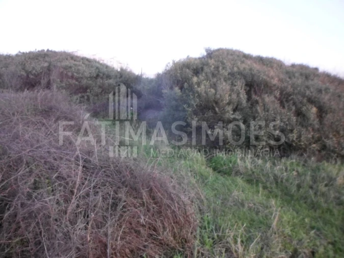 Terreno para Venda em Vila Praia de Ancora Foto 4