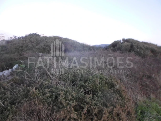 Terreno para Venda em Vila Praia de Ancora Foto 5