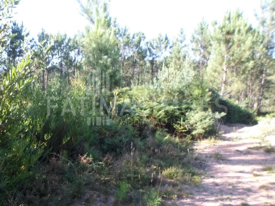Terreno para Venda em Riba de Ancora Foto 2