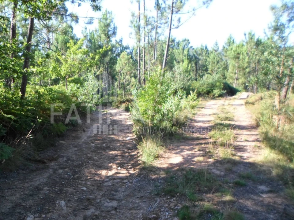 Terreno para Venda em Riba de Ancora Foto 6
