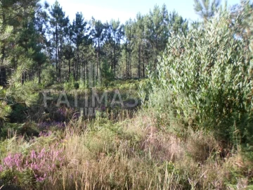 Terreno para Venda em Riba de Ancora