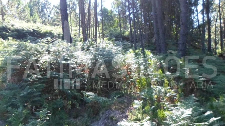 Terreno para Venda em Riba de Ancora