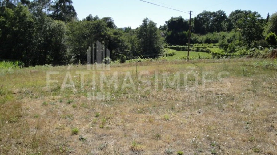 Terreno para Venda em Freixieiro de Soutelo