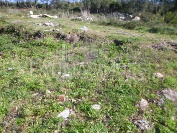 Terreno para Venda em Vila Praia de Ancora