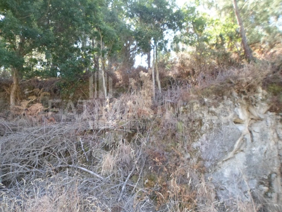 Terreno para Venda em Ancora Foto 2