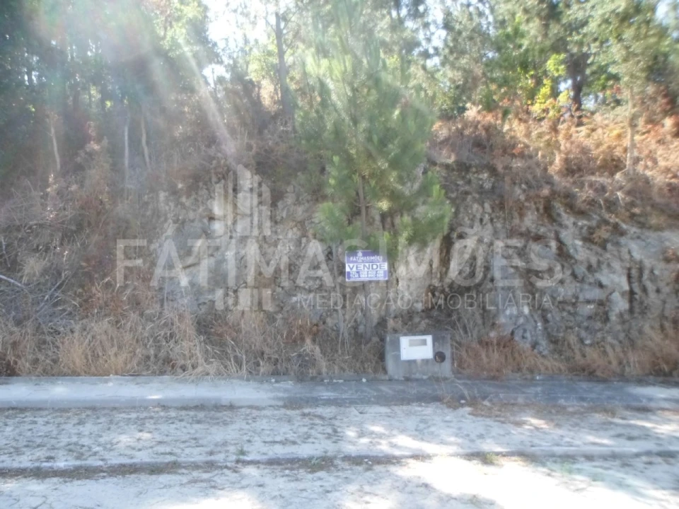 Terreno para Venda em Ancora Foto 3