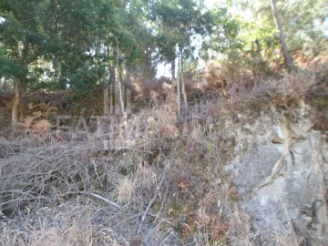 Terreno para Venda em Ancora