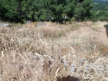 Terreno para Venda em Ancora