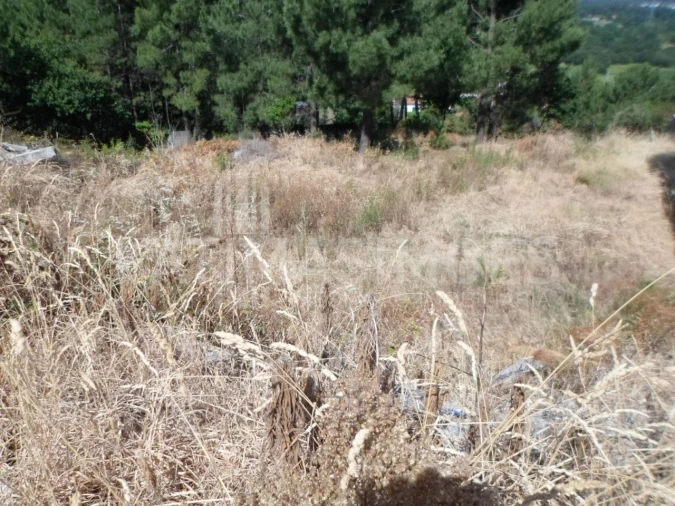 Terreno para Venda em Ancora Foto 5