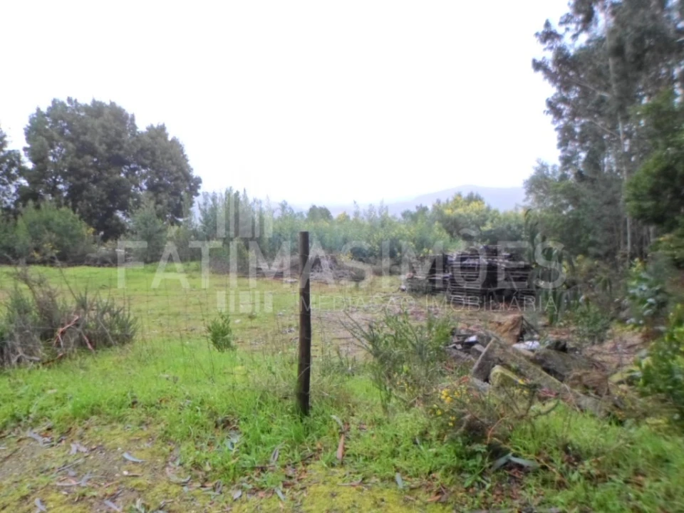 Terreno para Venda em Caminha (Matriz) e Vilarelho Foto 1