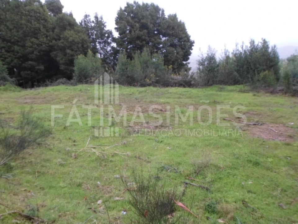 Terreno para Venda em Caminha (Matriz) e Vilarelho Foto 3